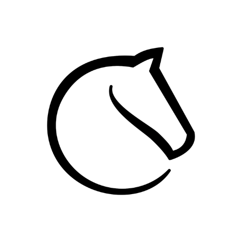Portfolio-title